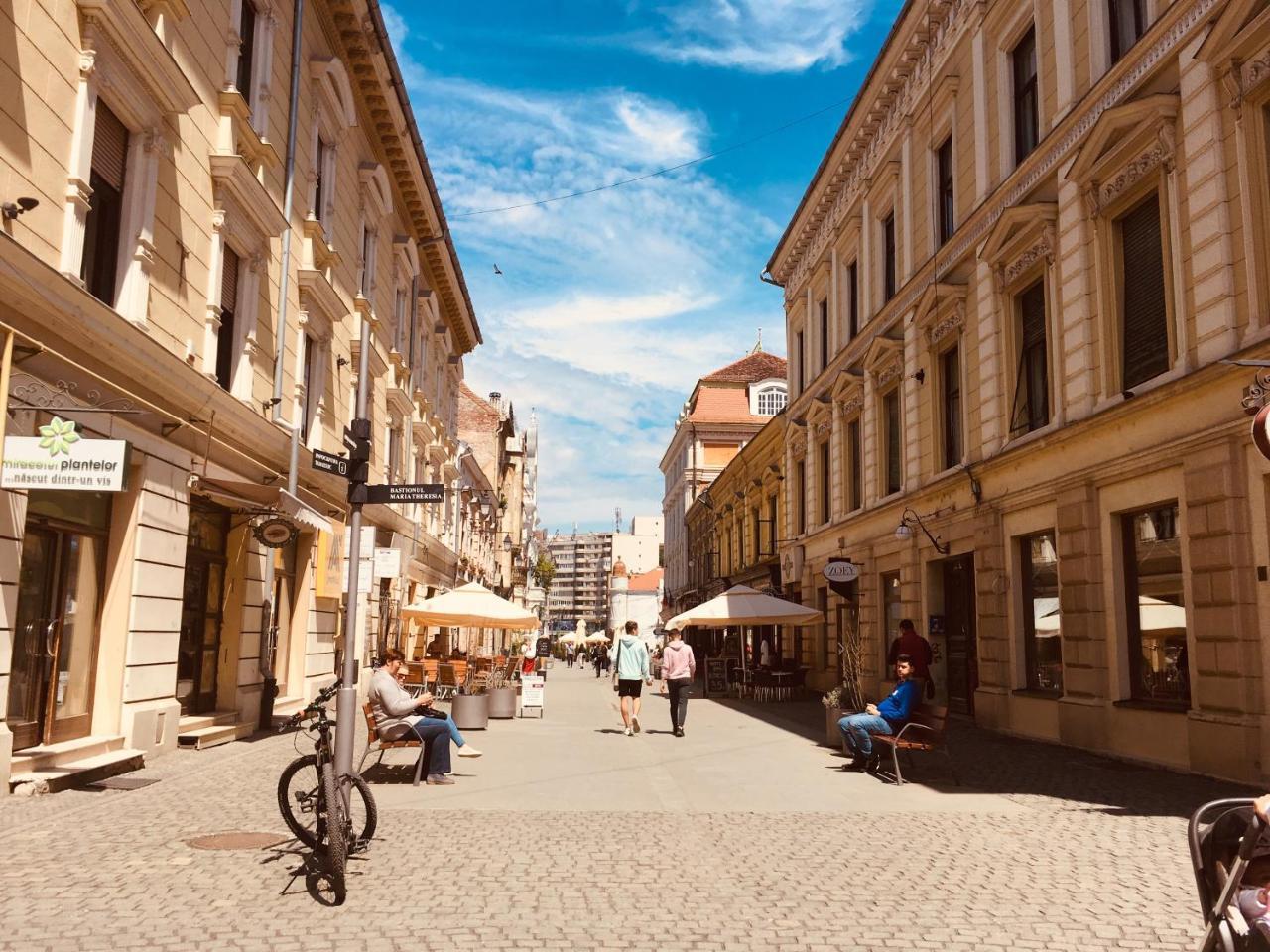 Old Town Hostel Тимишоара Экстерьер фото